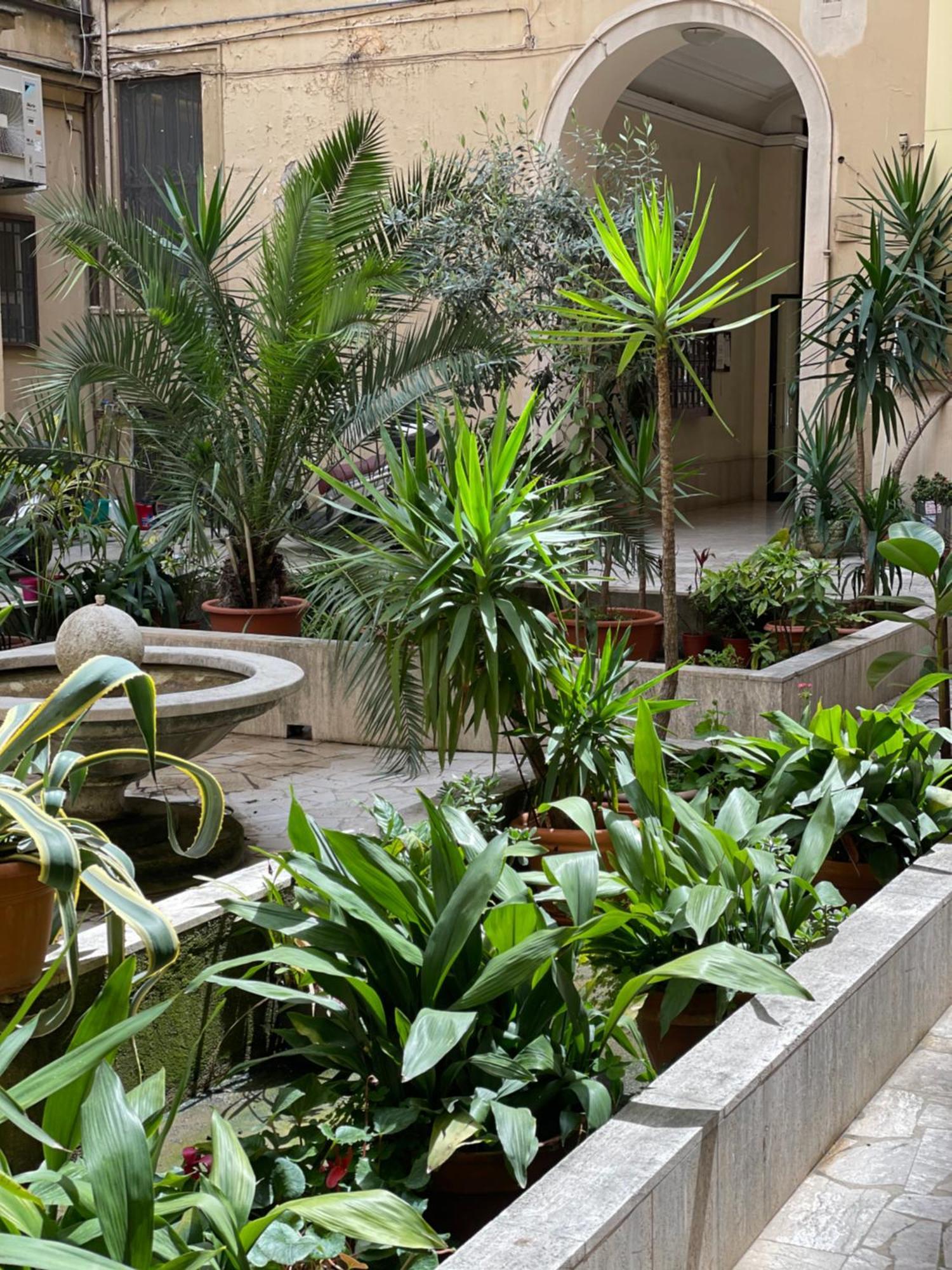 Home Sweet Rome Vatican Exteriör bild